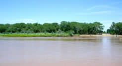the Alameda inthe bosque